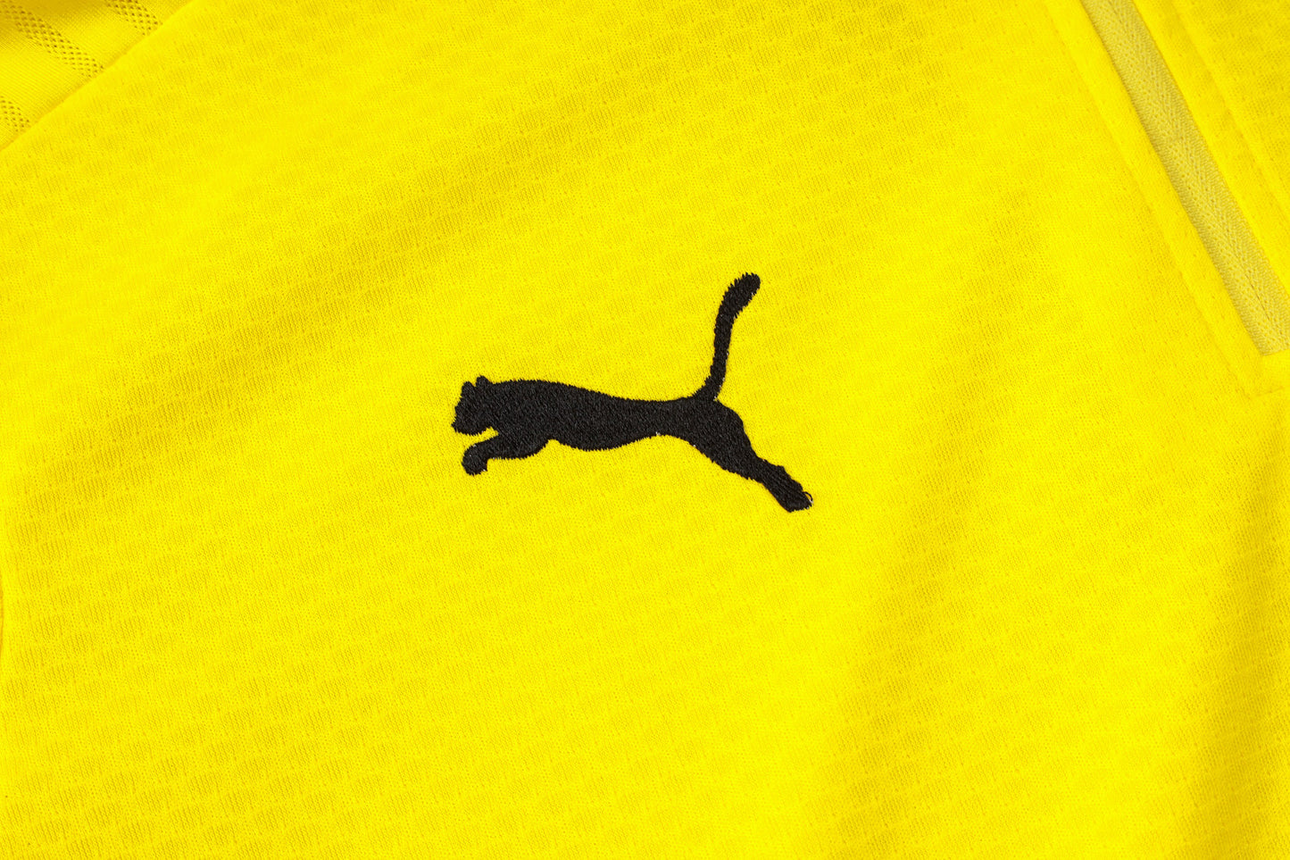 BVB Dortmund Home Tracksuit 24/25 - Pro Soccer Jersey