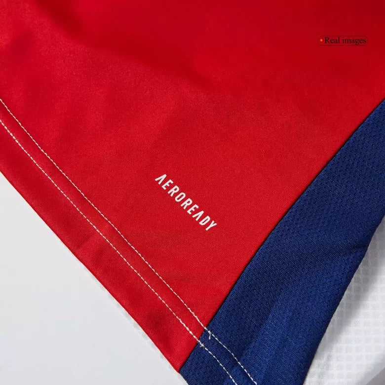 Arsenal Home 24/25 Fan Version LS