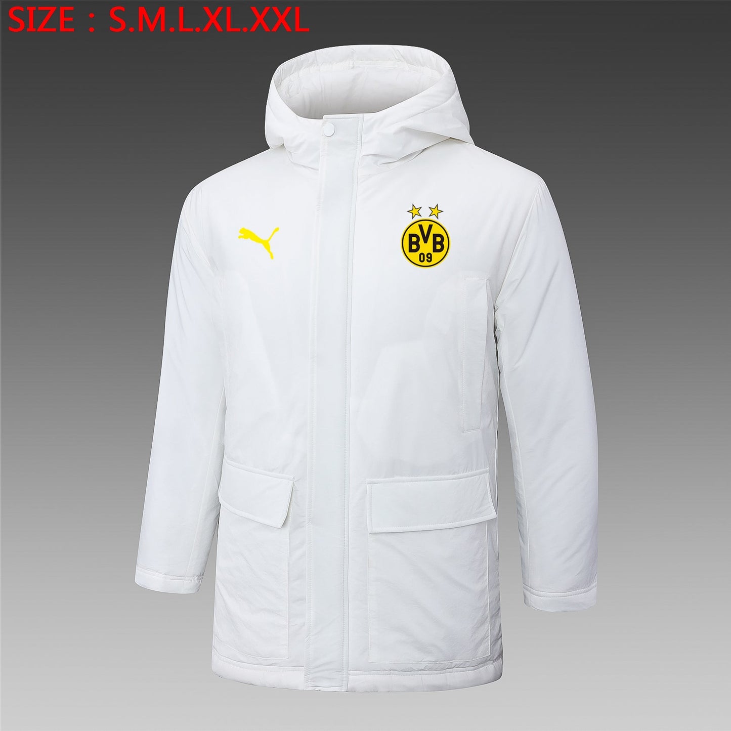 BVB Dortmund 24/25 Winter White Jacket - Pro Soccer Jersey