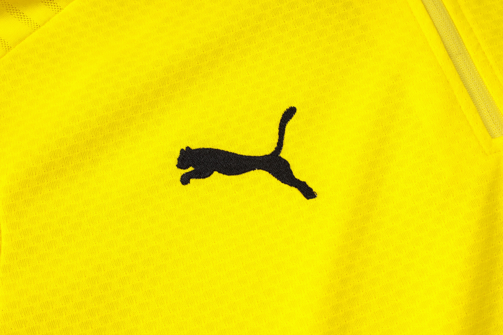 BVB Dortmund Home Tracksuit 24/25 - Pro Soccer Jersey