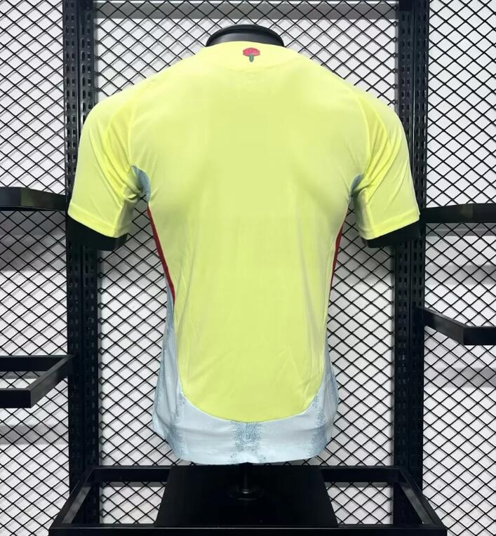 24-25 players Spain away